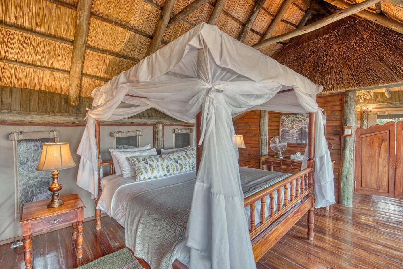 3-Day Ndutu Migration and Ngorongoro Crater Tour (Dec-Mar)