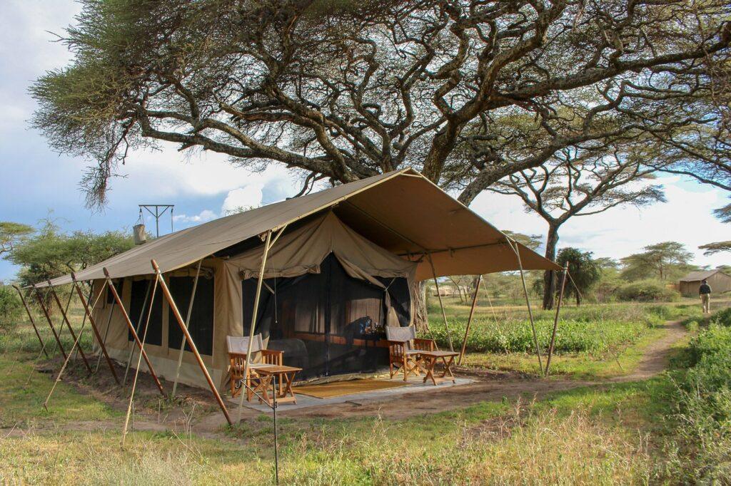 5-Day Migration Spot in Northern Serengeti