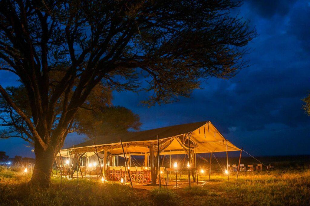 5-Day Big Time Mid-Range Safari