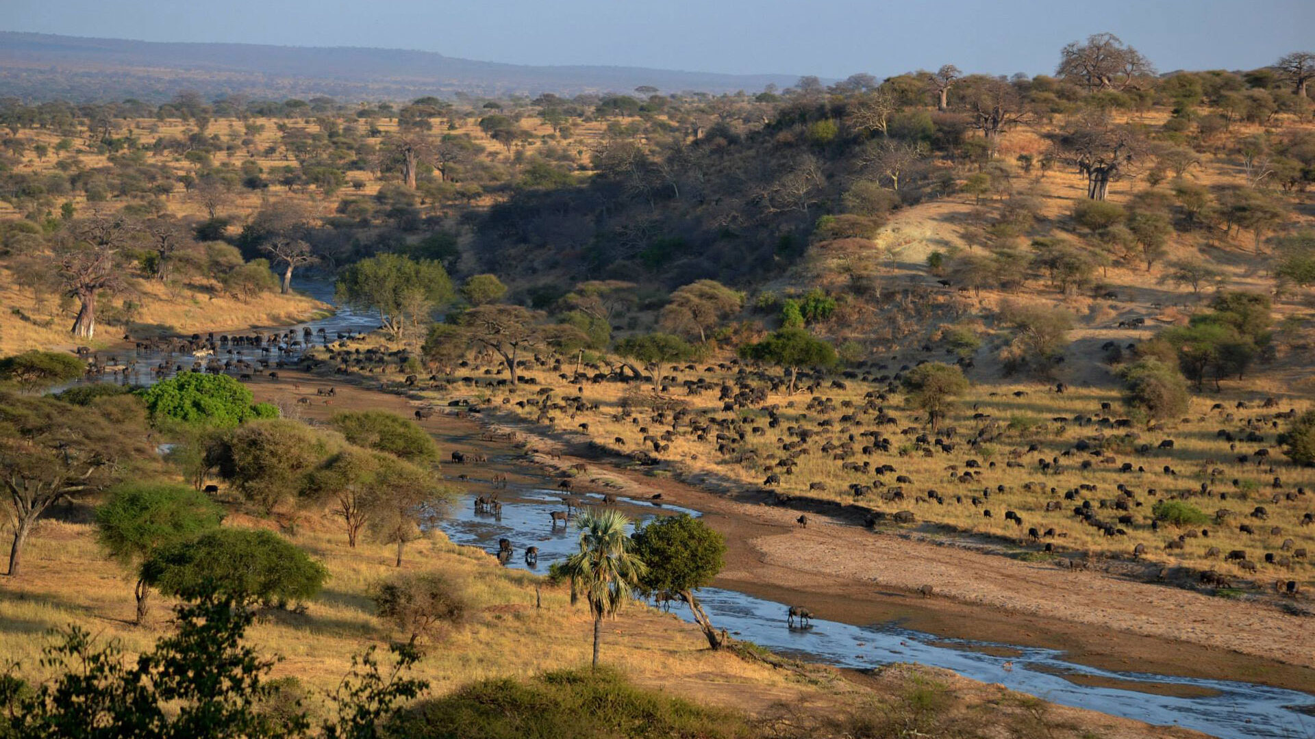 6-Day Mid-Luxury Private Wildlife Safari & Walking Tour