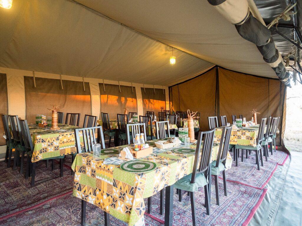 5-Day Big Cats and Great Rift Valley Best Northern Safari