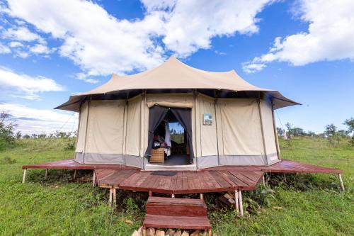 Serengeti Wildebeest Camp