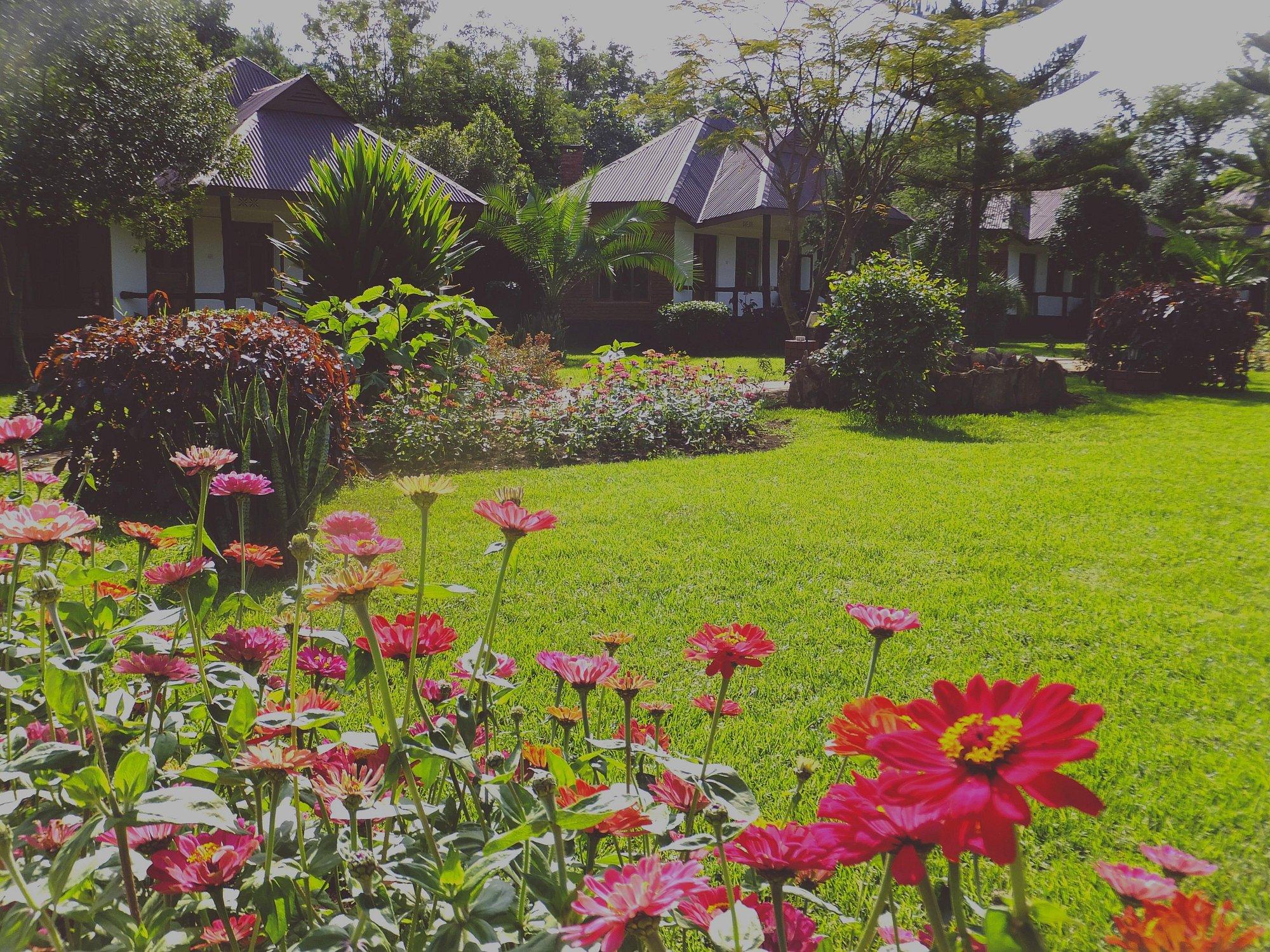 Bougainvillea Safari Lodge