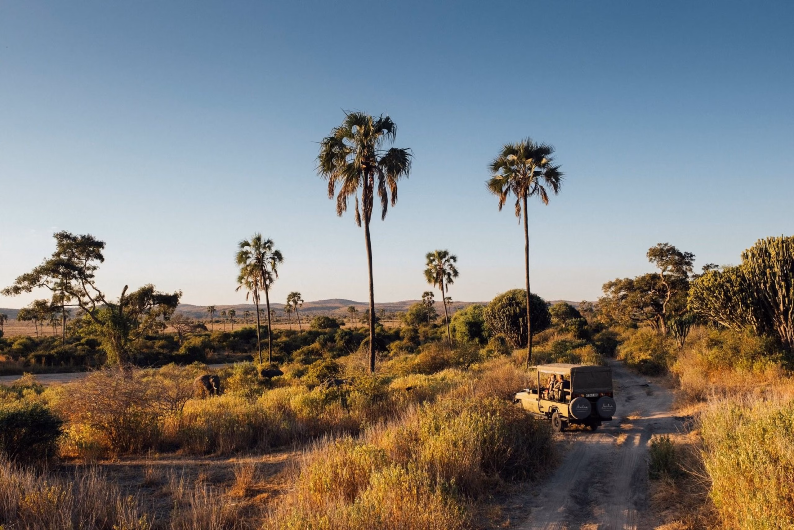 2-Day Selous (Nyerere) Safari from Zanzibar