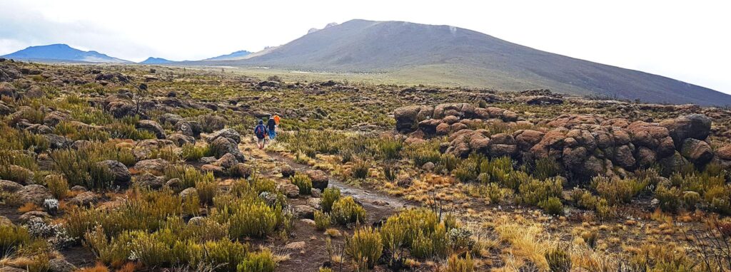 Kilimanjaro Shira Plateau Day Hike
