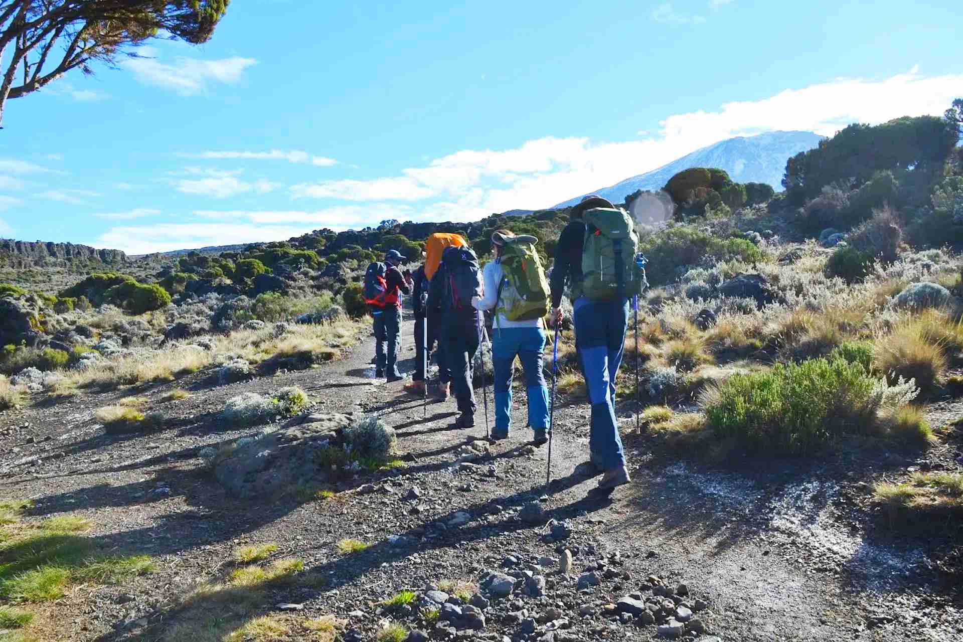 Kilimanjaro Shira Plateau Day Hike