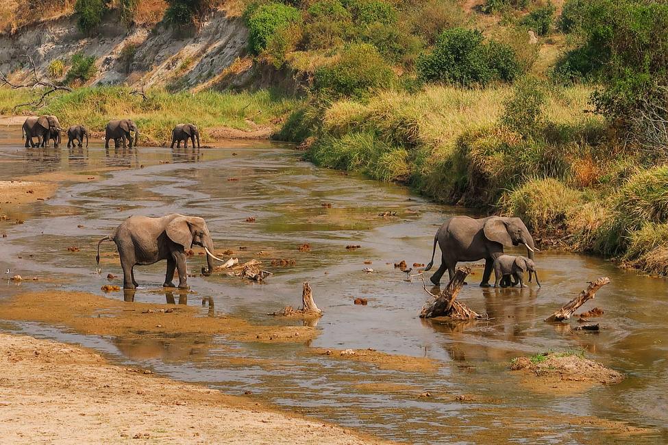 Tarangire National Park