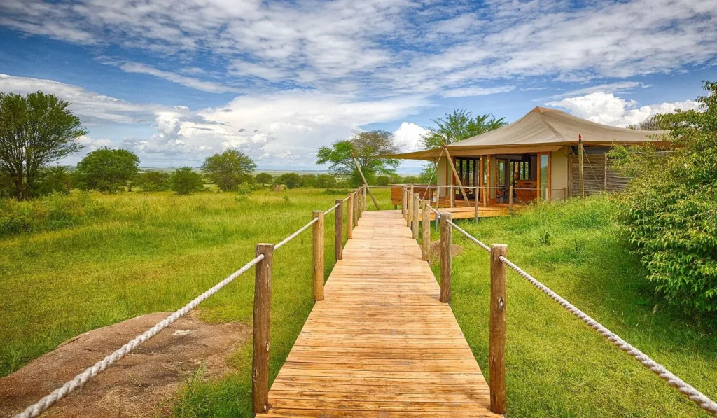 Wogakuria Safari Guide