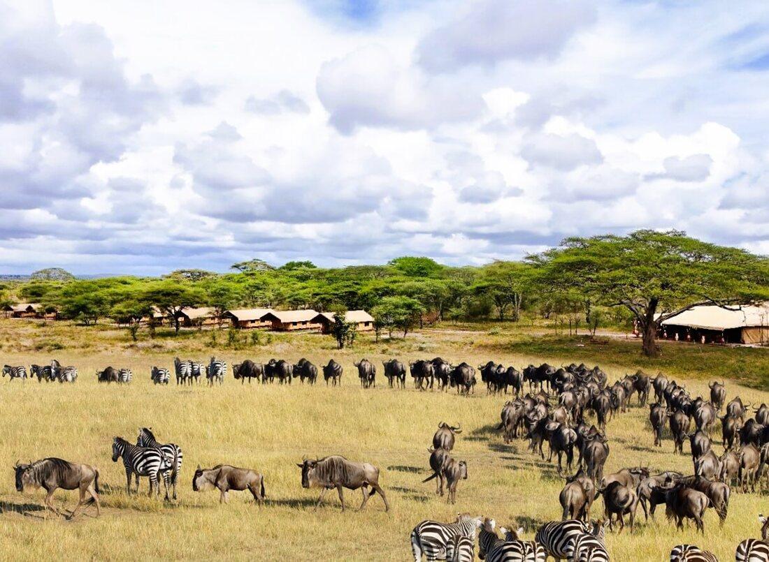 Matiti Plains Safari Guide