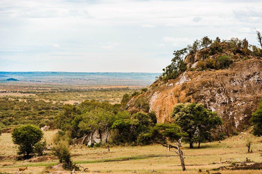 Lobo Valley Safari Guide