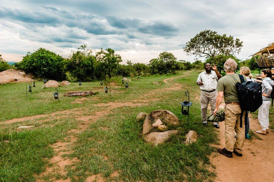 Lamai Triangle Safari Guide