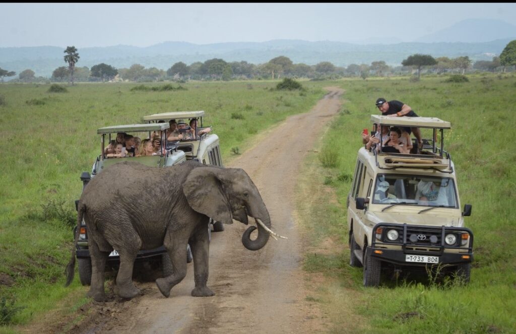 3-Day Ngorongoro, Lake Manyara & Tarangire Safari from Zanzibar