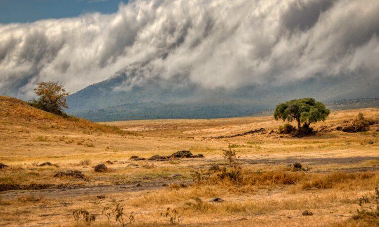 Naabi Hill Safari Guide