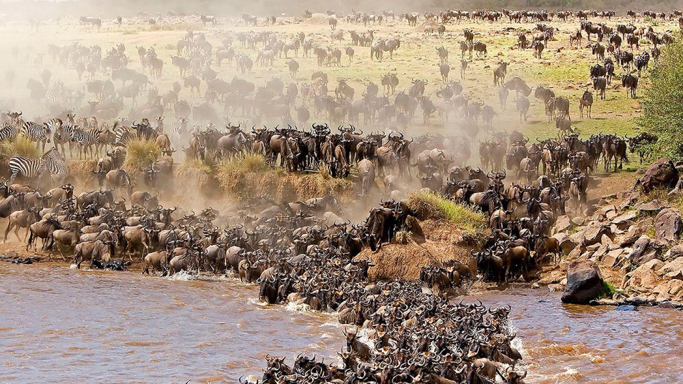 Salei Plains Safari Guide
