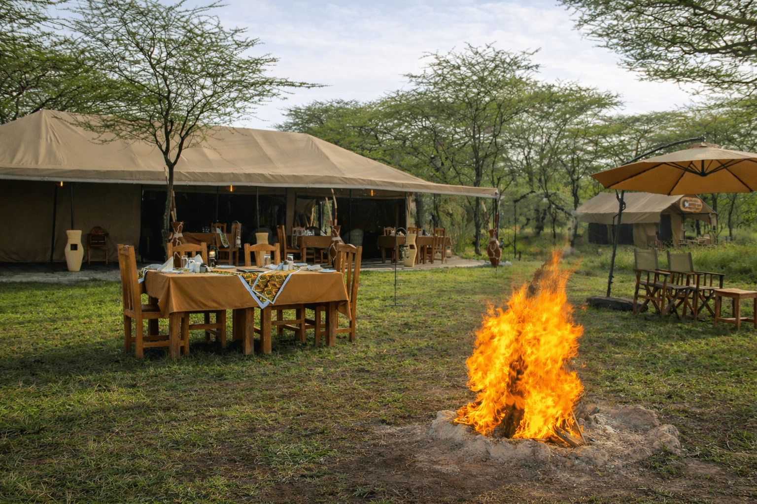Olduvai Gorge Safari Guide