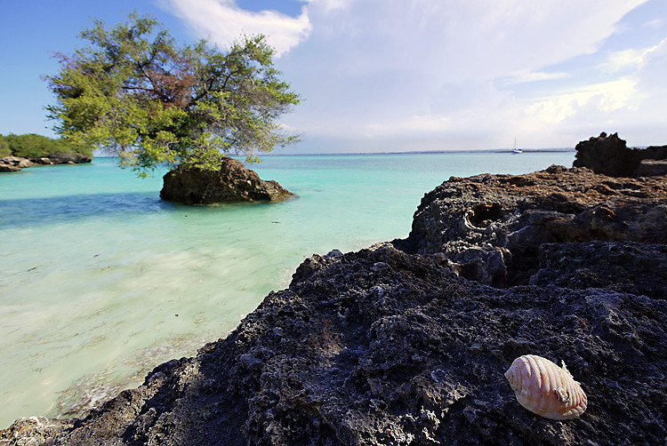 Bongoyo Island Beach Day