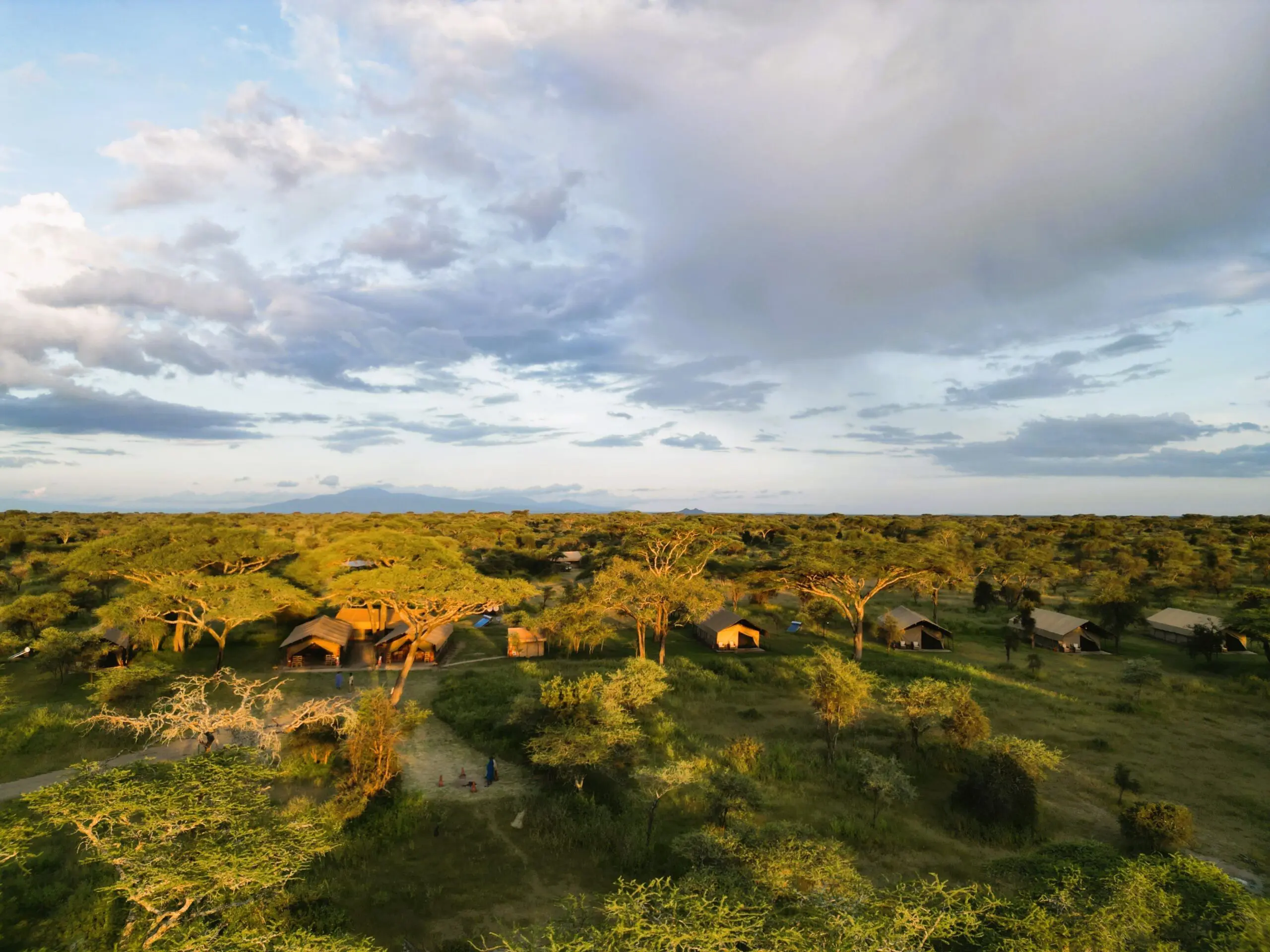Naabi Hill Safari Guide