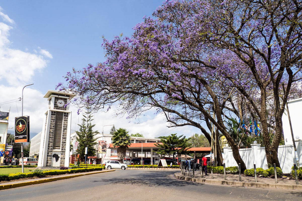 Arusha City Walking Tour & Local Lunch