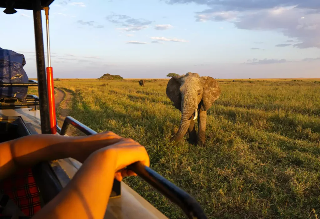 4-Day Group Joing from Tarangire, Serengeti and Ngorongoro