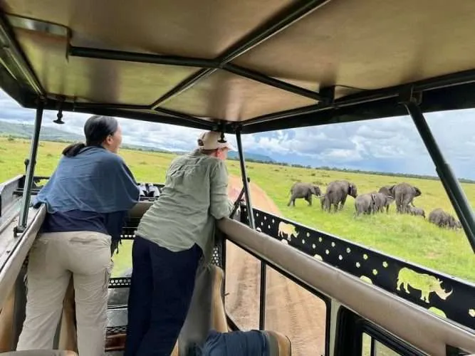 Olduvai Gorge Safari Guide