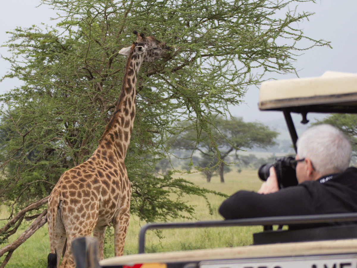 Soit Le Montonye Safari Guide