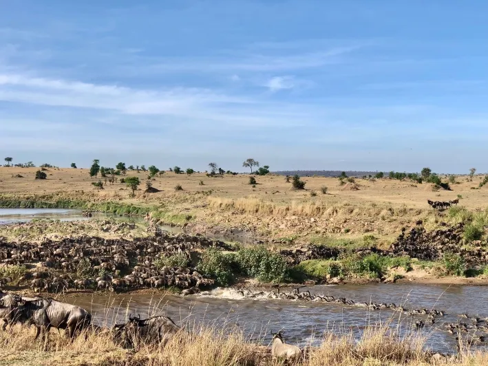 Lower Grumeti Woodlands Safari Guide