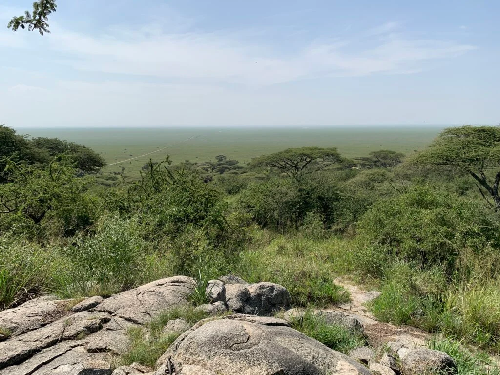Naabi Hill Safari Guide
