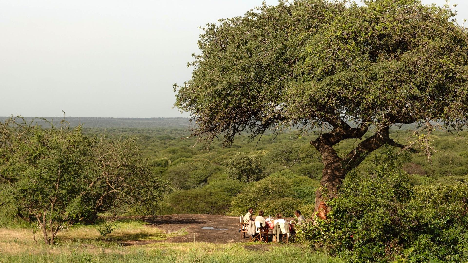 Kusini Plains Safari Guide