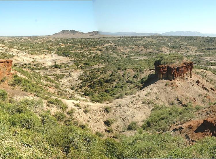 Olduvai Gorge Safari Guide