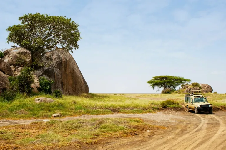 Gol Kopjes Safari Guide
