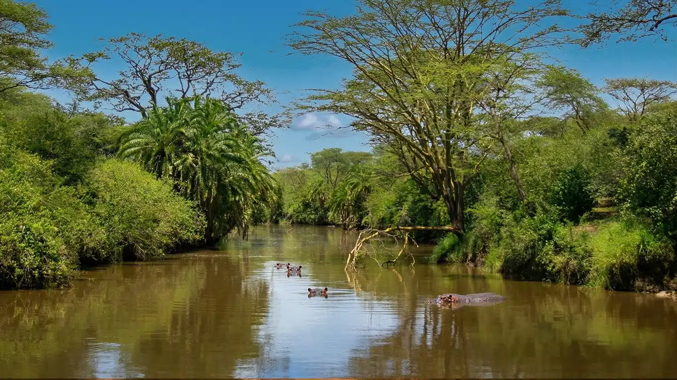 Upper Grumeti Woodlands Safari Guide
