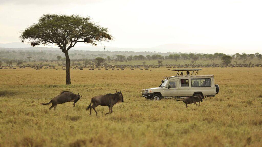 4-Day Great Northern Serengeti and Ngorongoro Crater