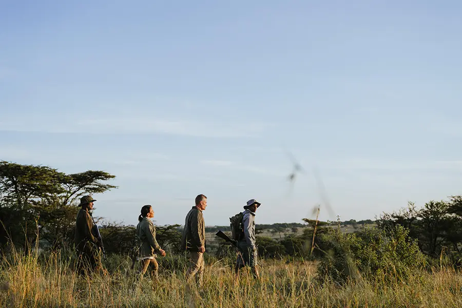 Serengeti National Park Safari Guide
