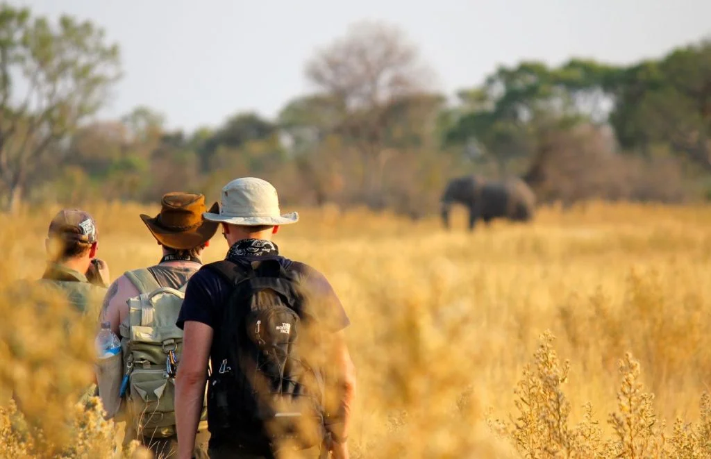 Lobo Valley Safari Guide