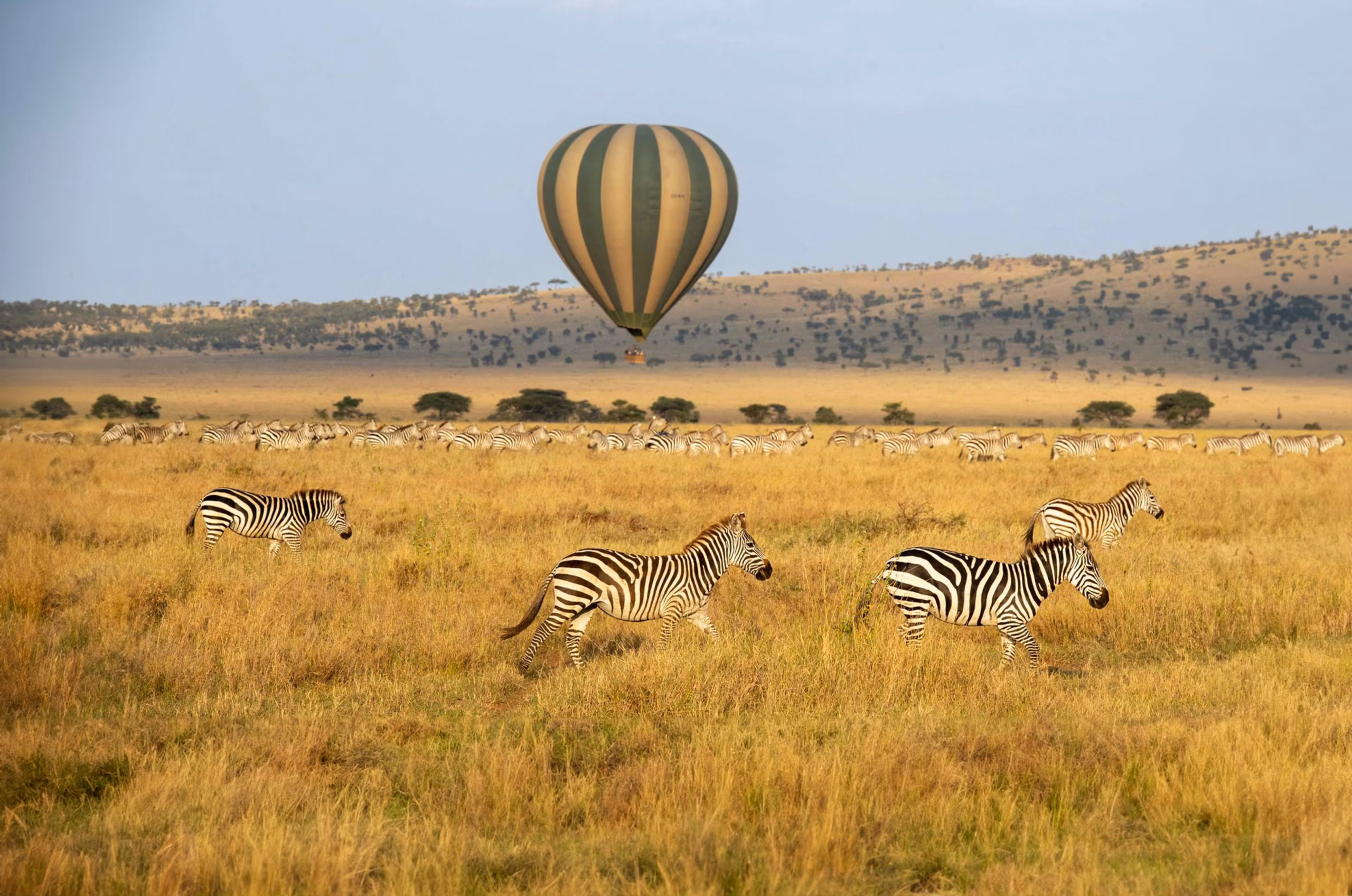 Seronera Valley Safari Guide