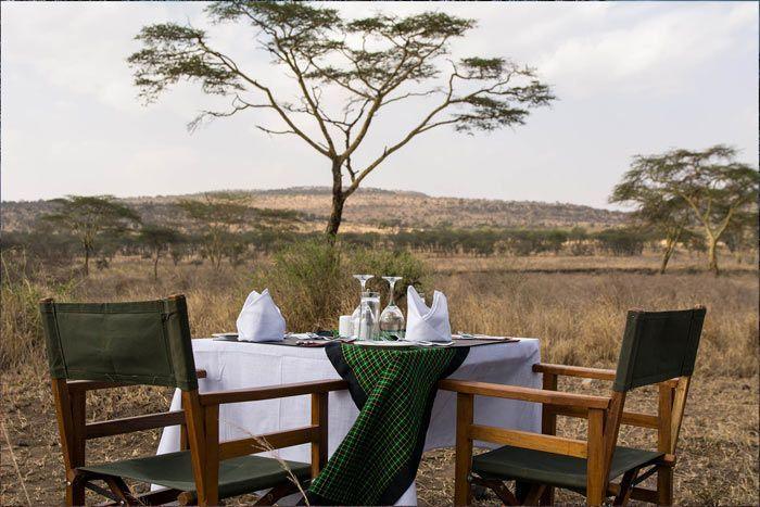 Maasai Kopjes Safari Guide