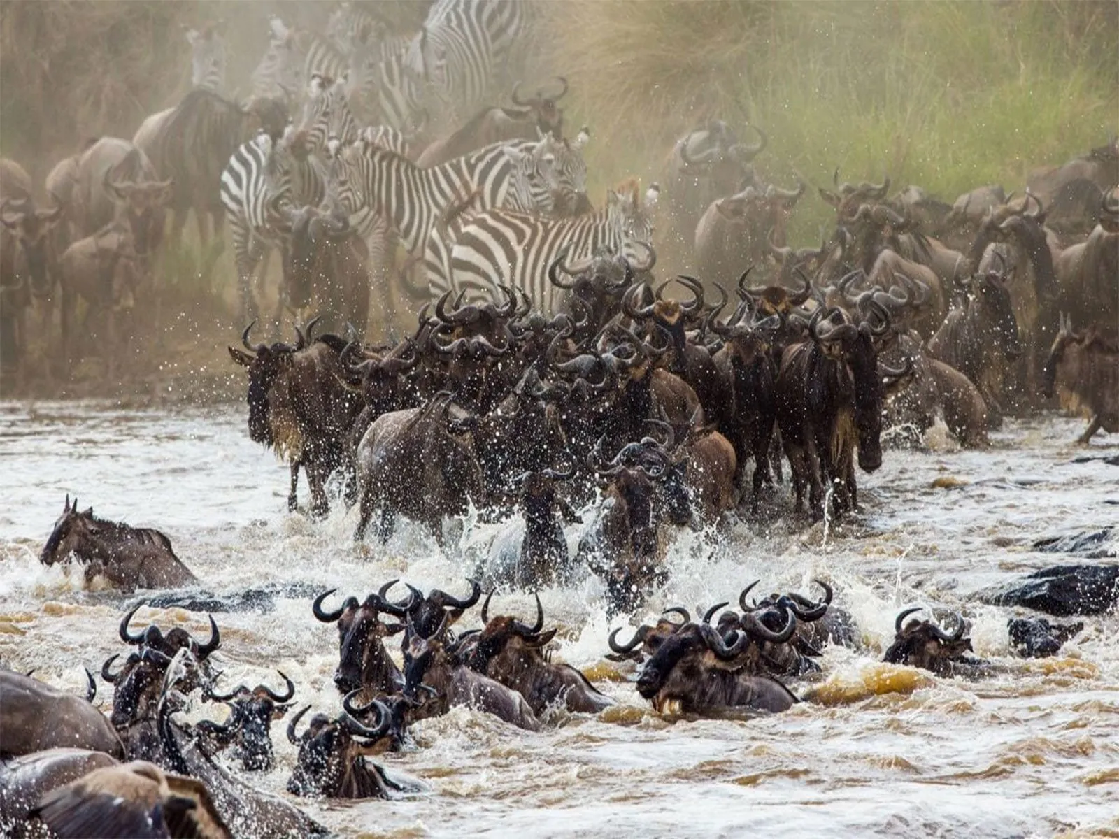 Lower Grumeti Woodlands Safari Guide