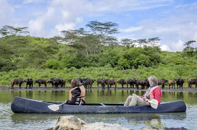 Arusha National Park Day Safari