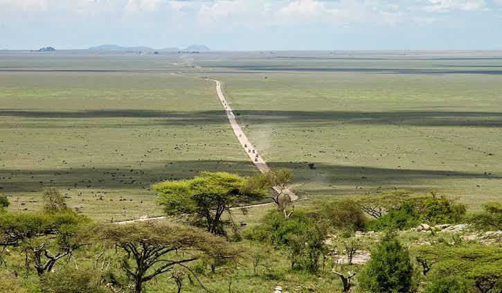 Naabi Hill Safari Guide
