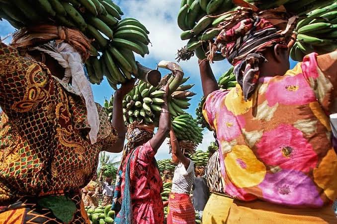 Chagga Cooking & Coffee Experience