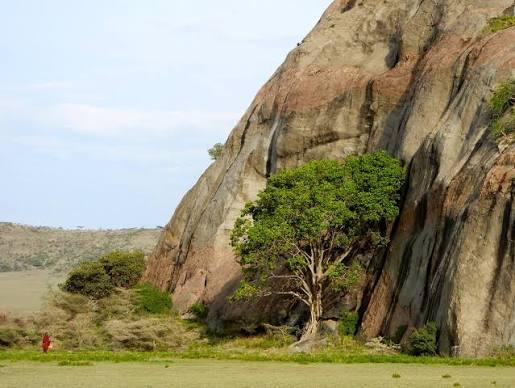 Nasera Rock Safari Guide
