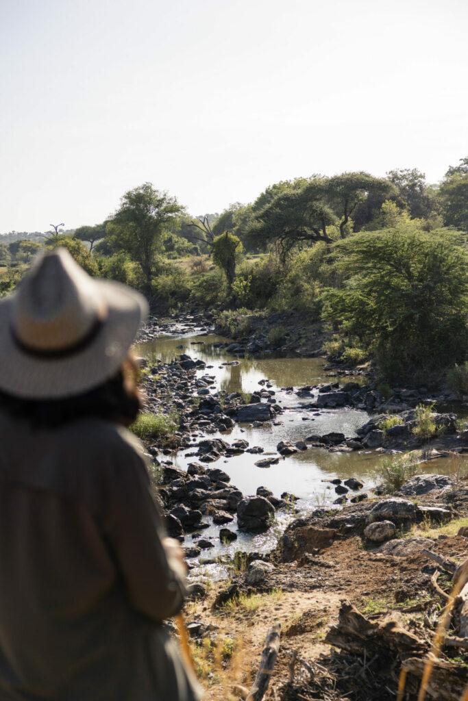 Lower Grumeti Woodlands Safari Guide