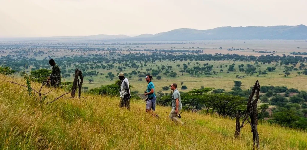 3-Day Saadani National Park and Boat Safari Experiences