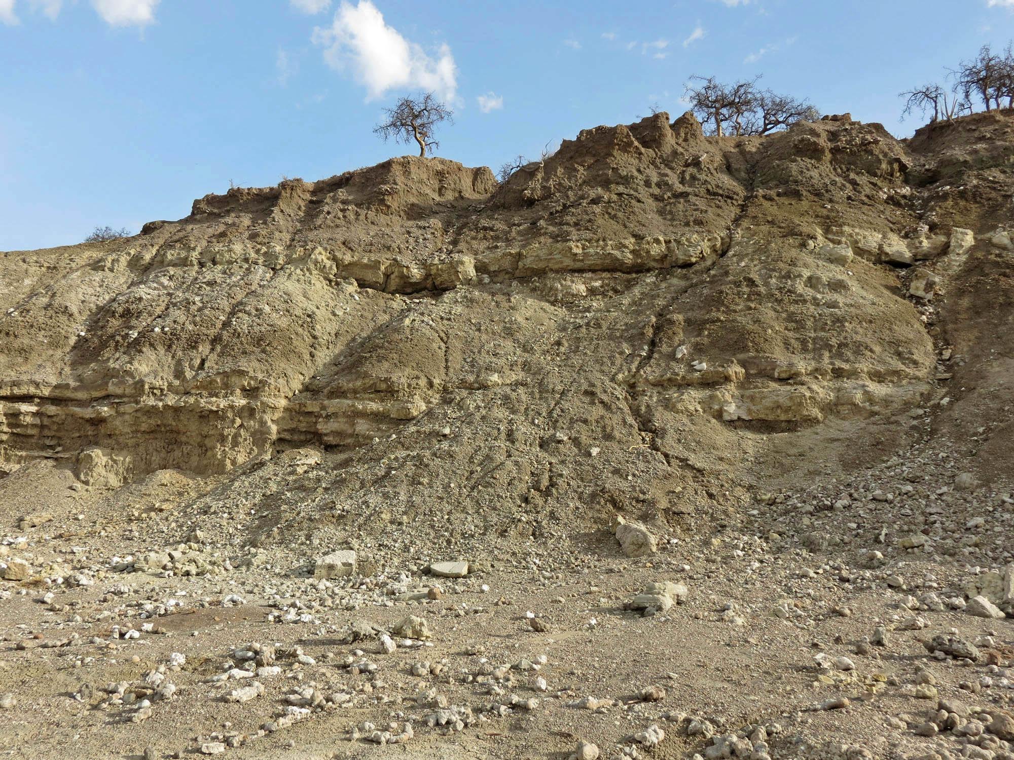 Olduvai Gorge Safari Guide