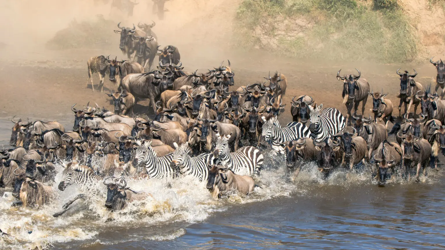 Mara River Safari Guide