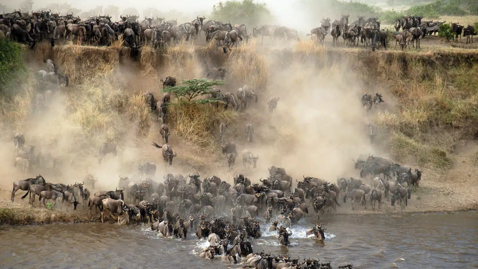 North Serengeti Safari Guide