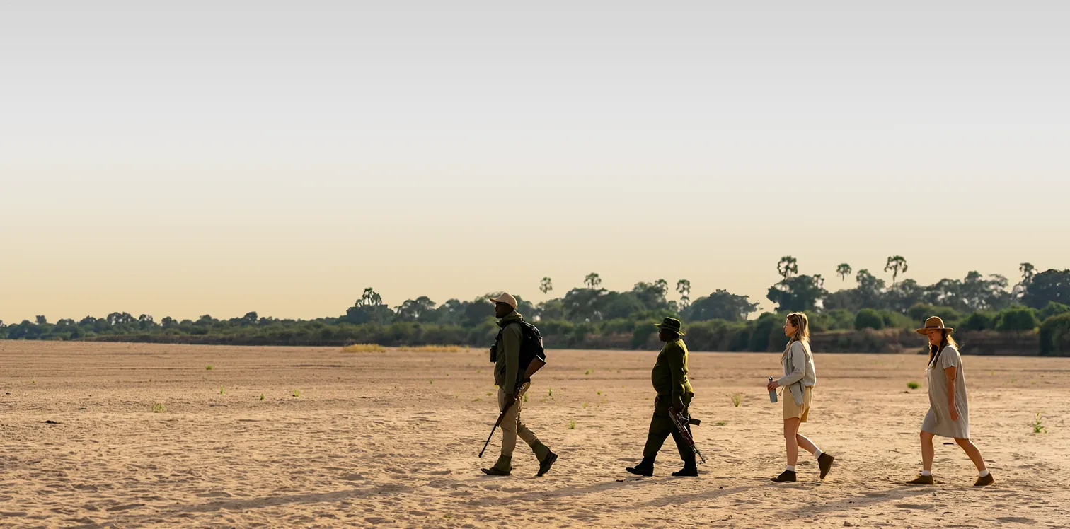 Salei Plains Safari Guide
