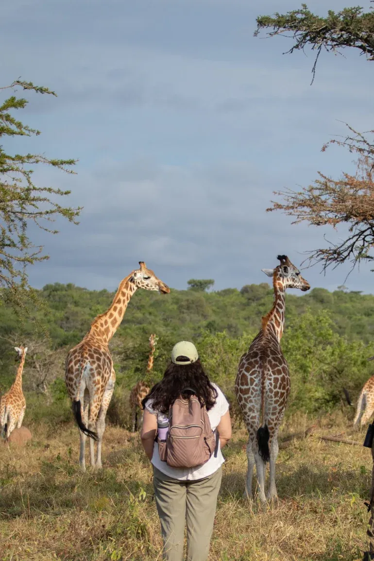 Salei Plains Safari Guide