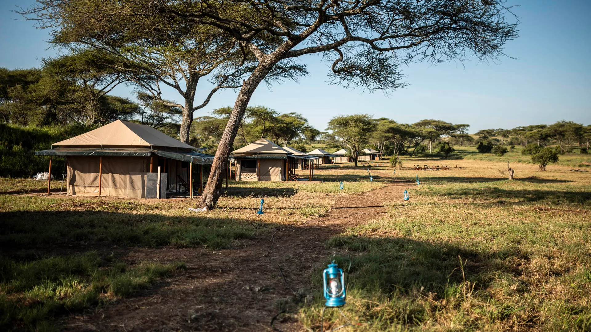 Serengeti National Park Safari Guide