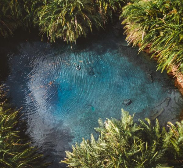 kikuletwa-hot-springs-chemka-tanzania